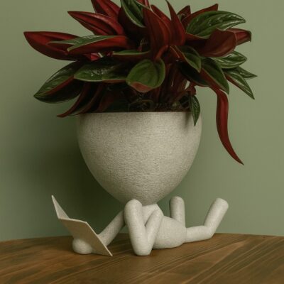 უნიკალური დიზაინის - "მკითხველი ქოთანი"