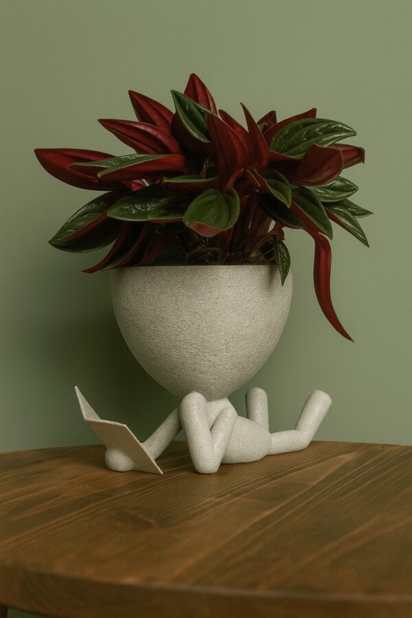 უნიკალური დიზაინის - "მკითხველი ქოთანი"