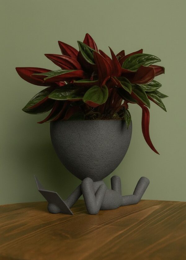 უნიკალური დიზაინის - "მკითხველი ქოთანი"