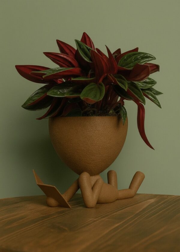 უნიკალური დიზაინის - "მკითხველი ქოთანი"